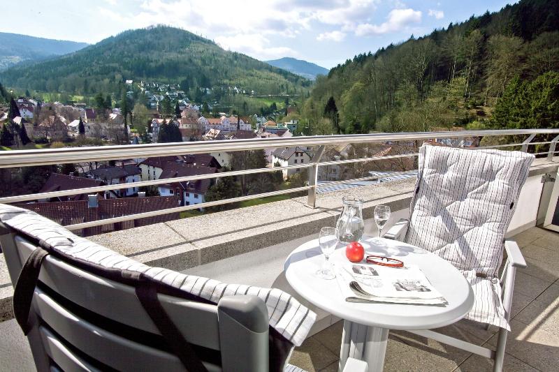 Schwarzwald Panorama image