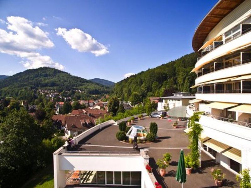 Schwarzwald Panorama image