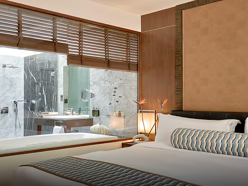 Melia Desert Palm Member of Melia Collection image