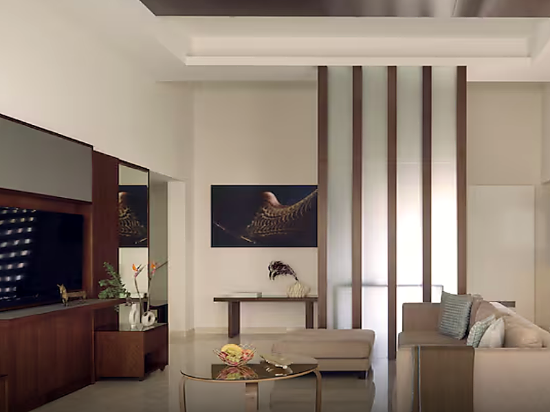 Melia Desert Palm Member of Melia Collection image