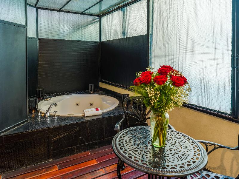 Melia Recoleta Plaza image
