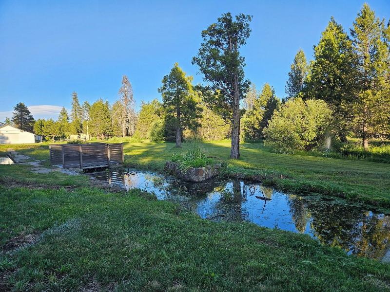 The Black Forest Lodge
