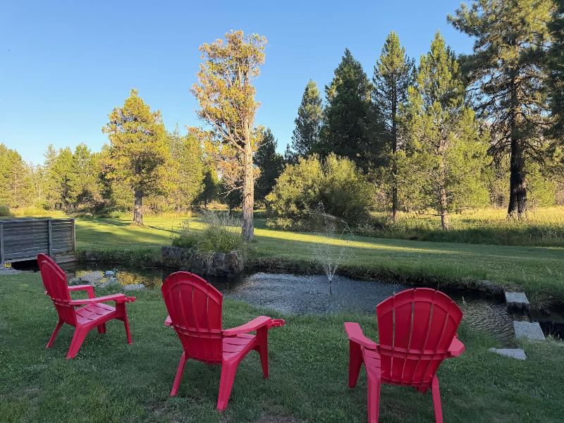 The Black Forest Lodge