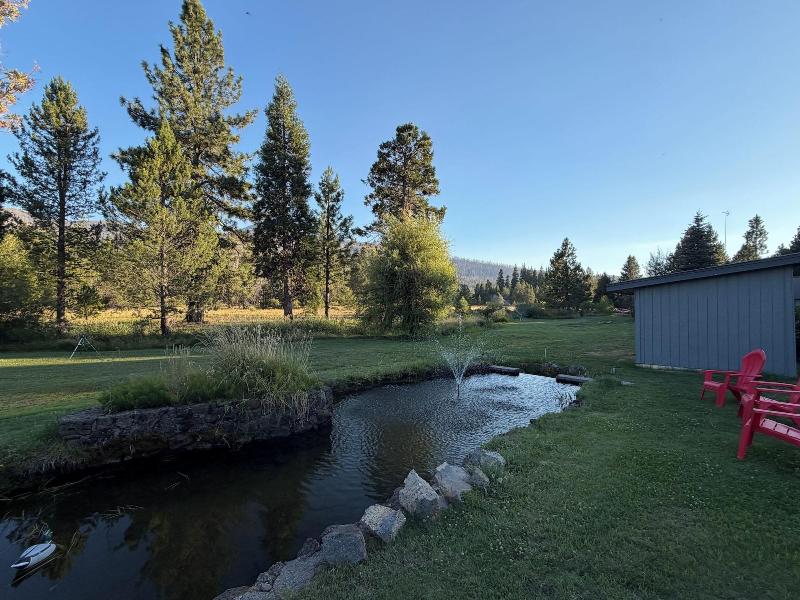 The Black Forest Lodge