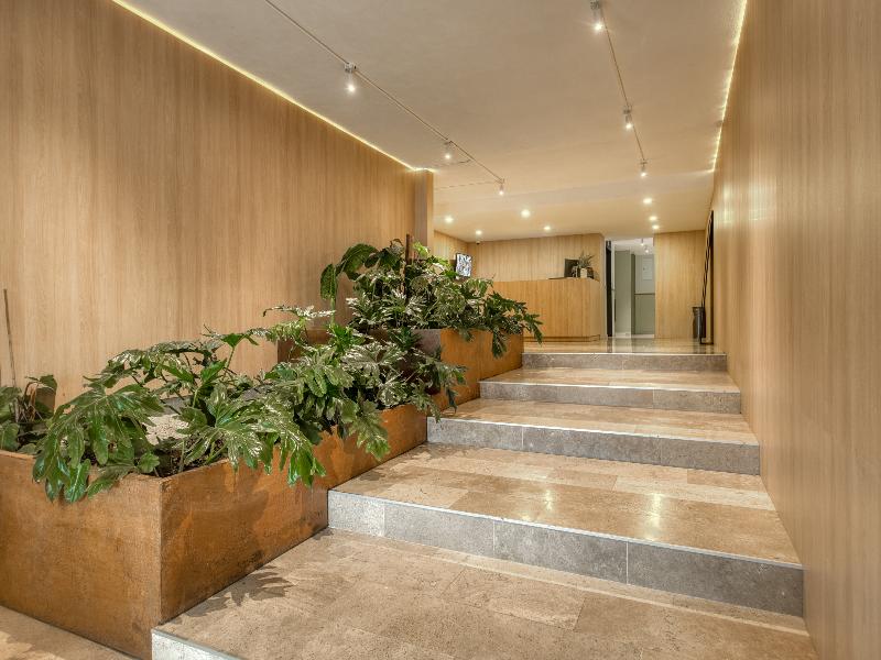Nido Roma image