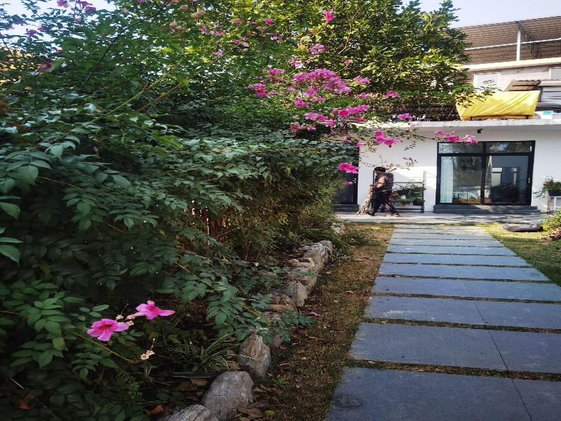 Tujia Folk Houses