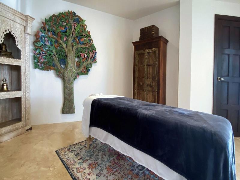 Reunion Wellness Resort Retreats image