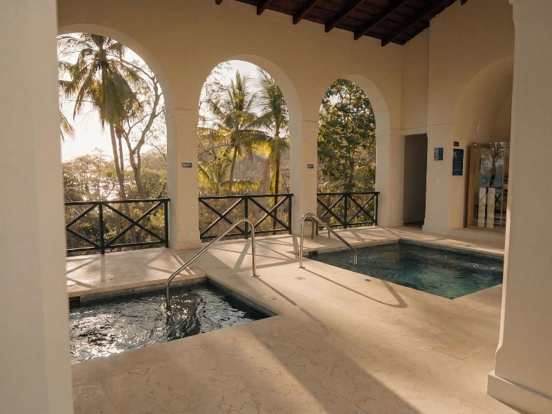 Reunion Wellness Resort Retreats image