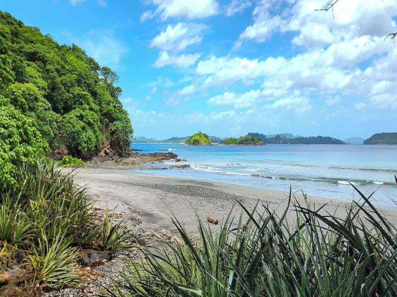 Reunion Wellness Resort Retreats image