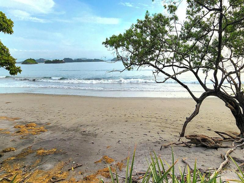 Reunion Wellness Resort Retreats image