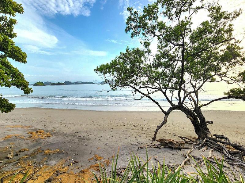 Reunion Wellness Resort Retreats image