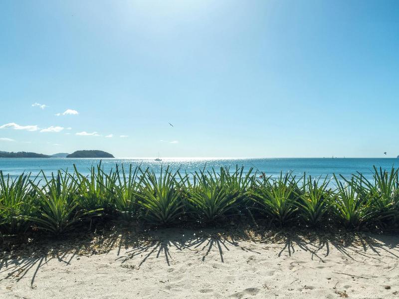 Reunion Wellness Resort Retreats image