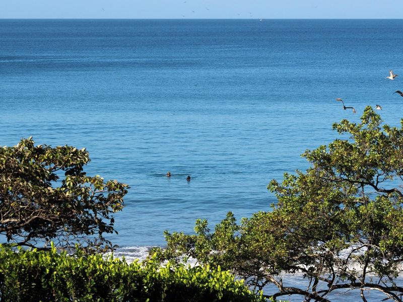 Reunion Wellness Resort Retreats image