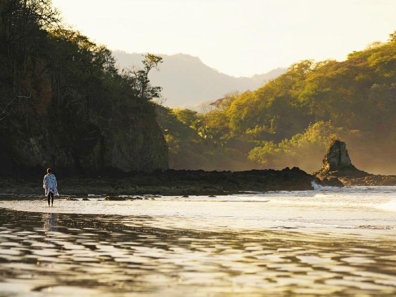 Reunion Wellness Resort Retreats image