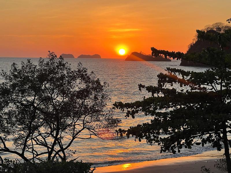 Reunion Wellness Resort Retreats image