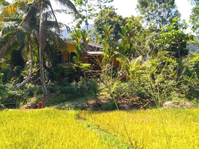 Sinharaja Serenity Retreat