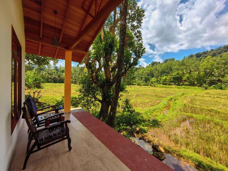 Sinharaja Serenity Retreat — photo 11