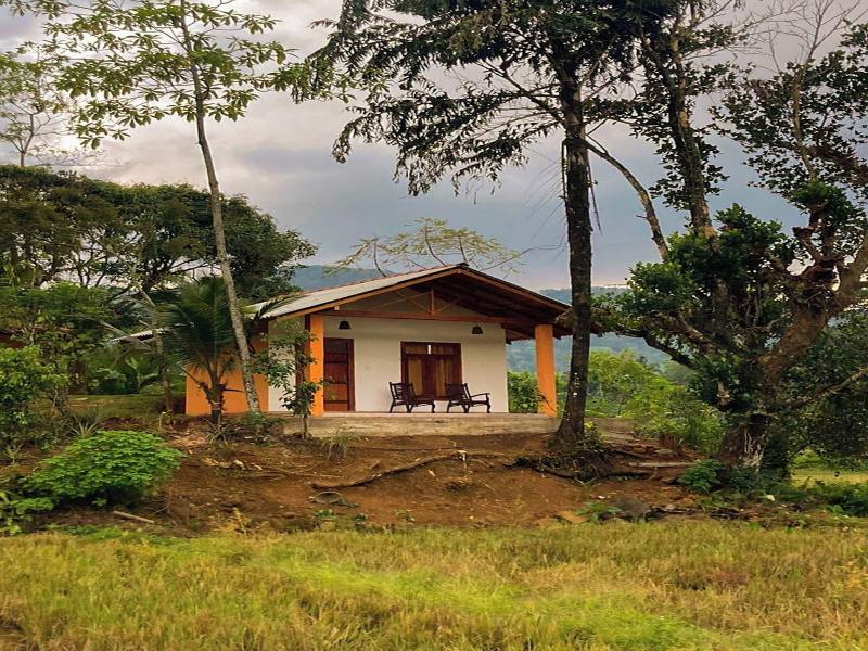 Sinharaja Serenity Retreat — photo 4