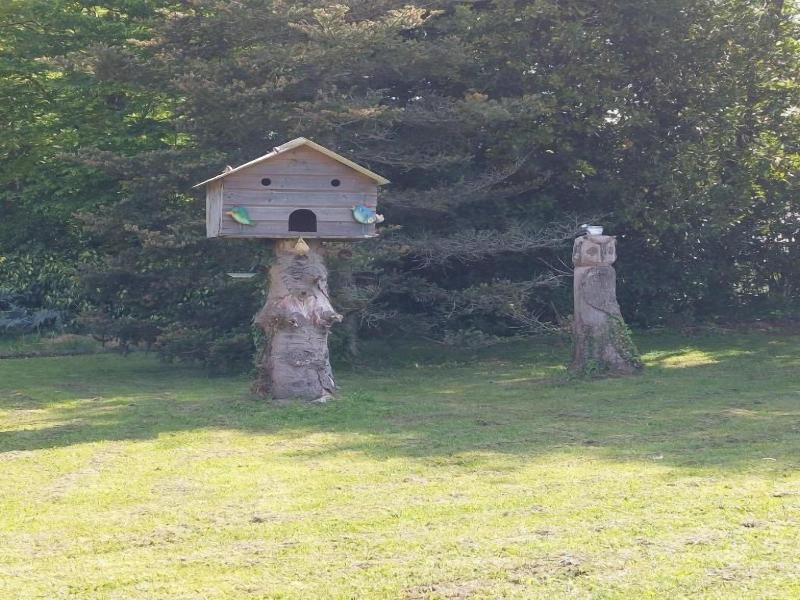 Maison D Hotes La Lavandiere image