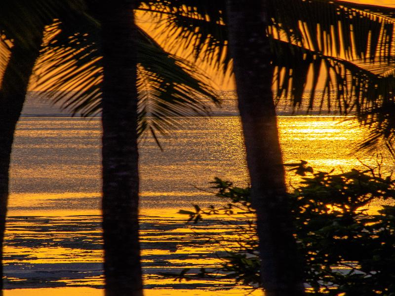 Pingwe Beach Apartments image