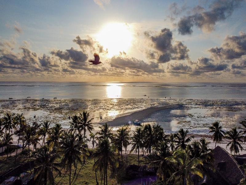 Pingwe Beach Apartments image
