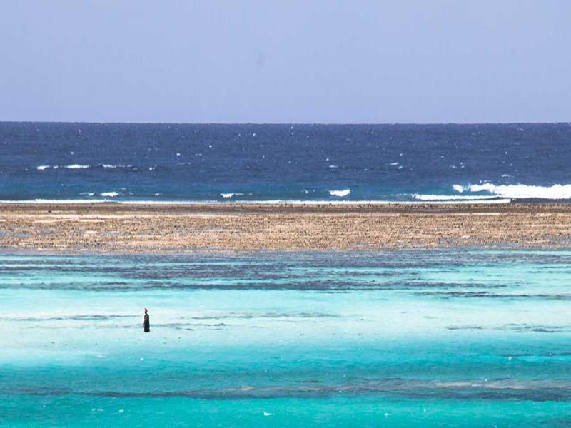Pingwe Beach Apartments image