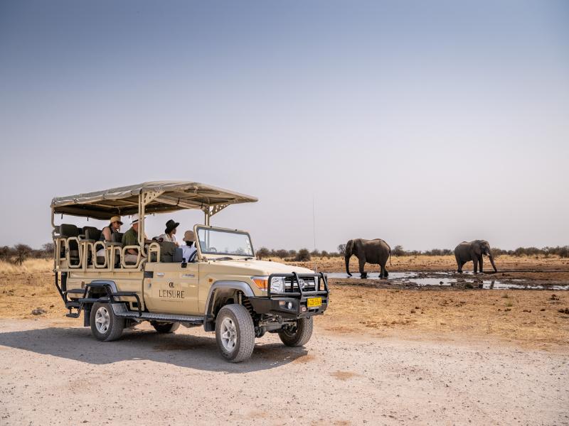 Mokuti Etosha image