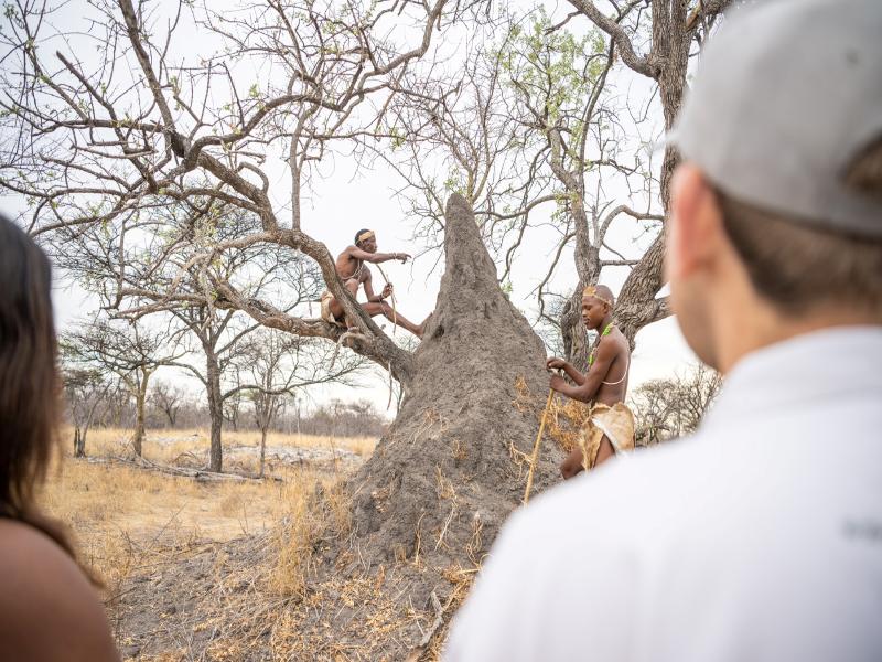Mokuti Etosha image