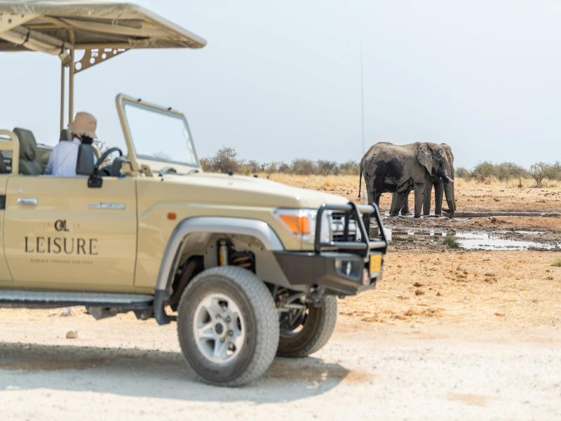 Mokuti Etosha image