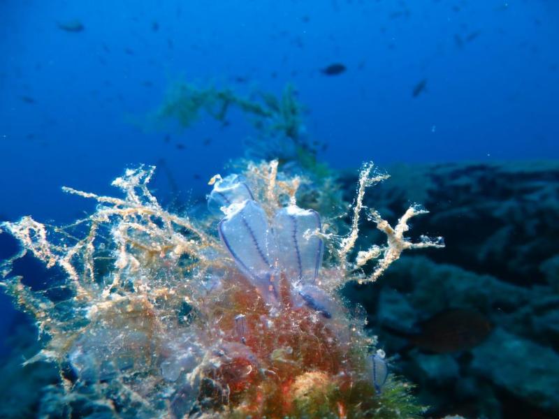 This photo about Villa Kerveli shared on HyHotel.com