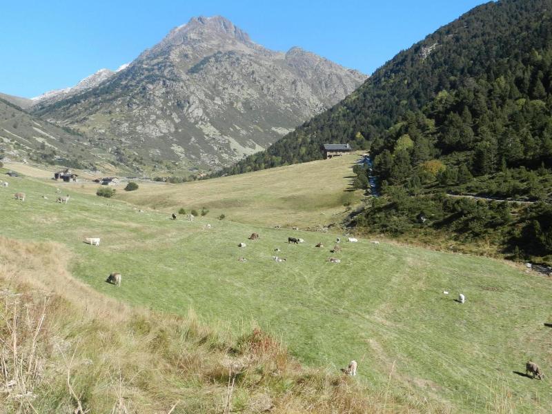 Peretol  image