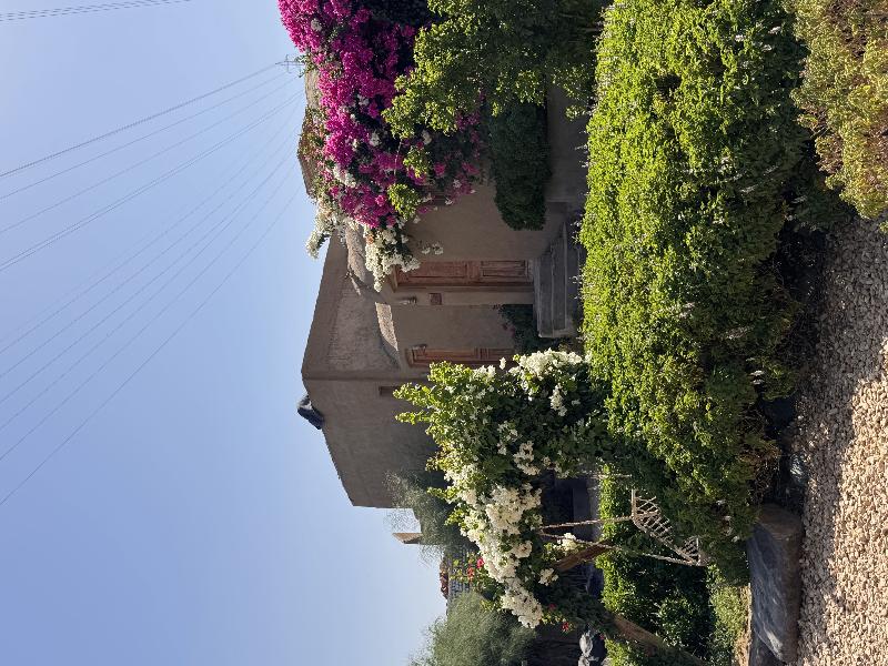 Nala Narty Nubian House & Organic Farm Aswan