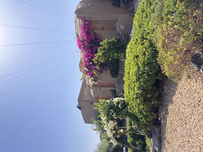 Nala Narty Nubian House & Organic Farm Aswan