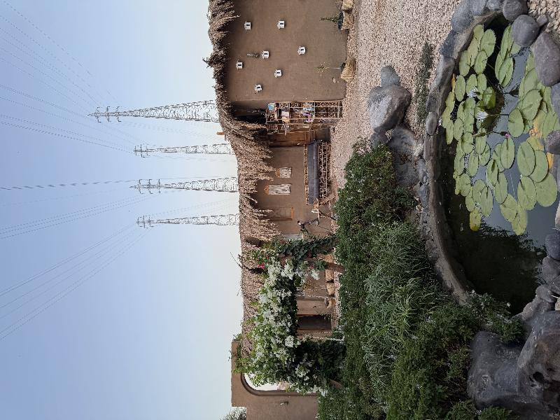 Nala Narty Nubian House & Organic Farm Aswan