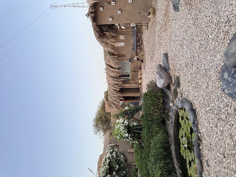 Nala Narty Nubian House & Organic Farm Aswan