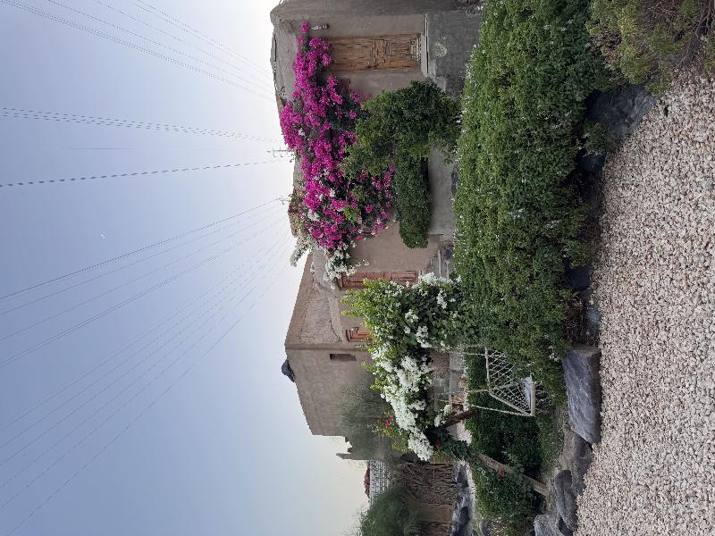Nala Narty Nubian House & Organic Farm Aswan