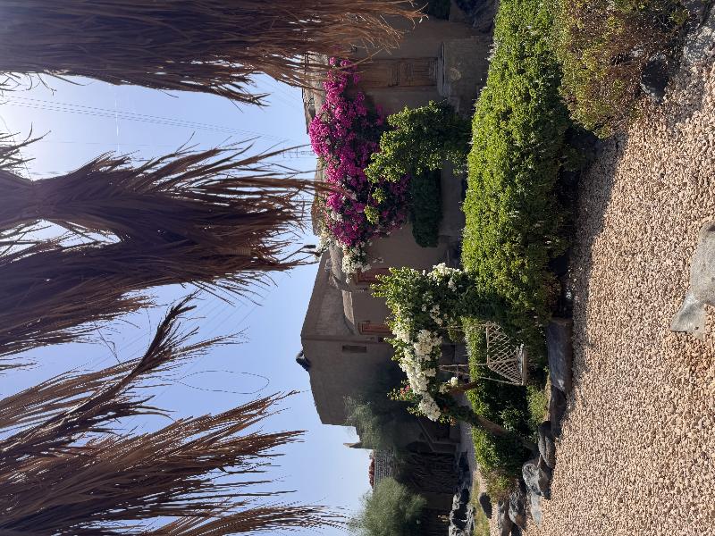 Nala Narty Nubian House & Organic Farm Aswan