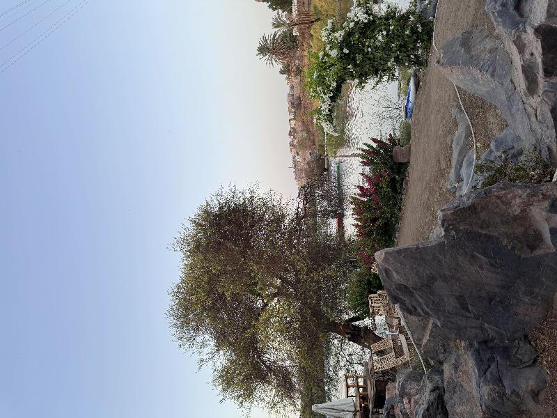 Nala Narty Nubian House & Organic Farm Aswan