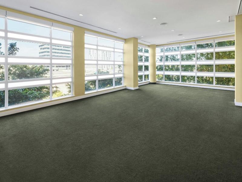 The Westin Wall Centre Vancouver Airport image