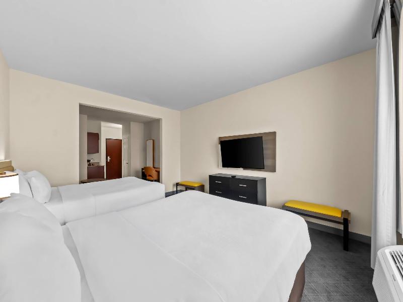 Comfort Suites San Antonio North - Stone Oak image