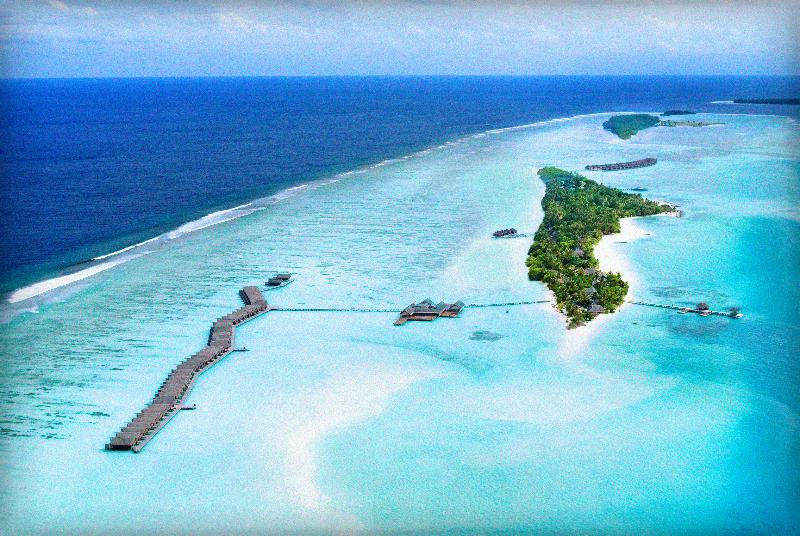 Diva Maldives