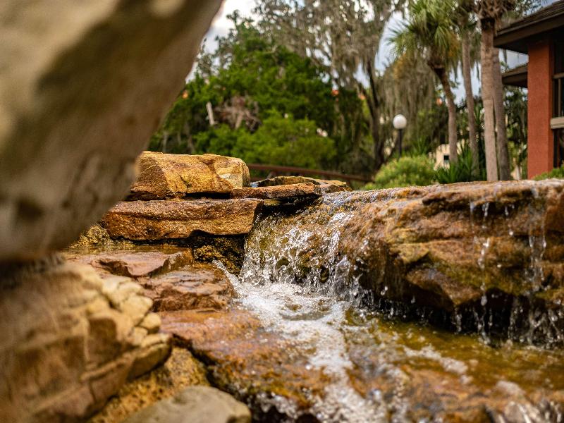 Legacy Vacation Resorts Palm Coast image