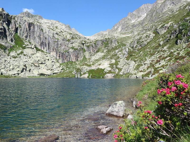 Balneo Aladin image