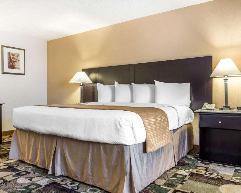 Quality Inn & Suites Coliseum image