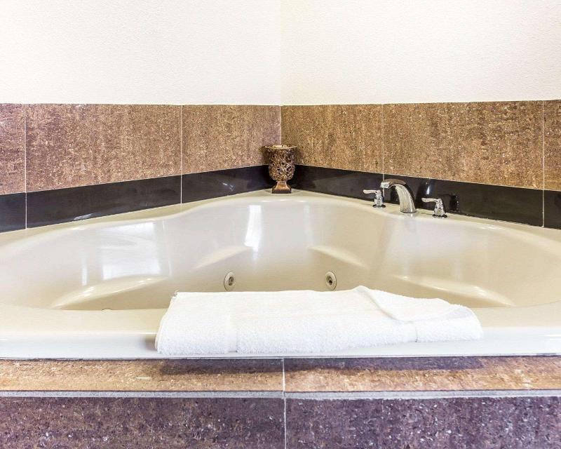 Quality Inn & Suites Coliseum image