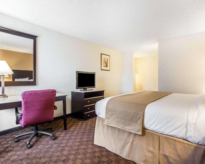 Quality Inn & Suites Coliseum image