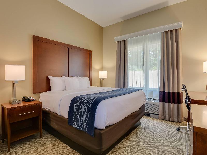 Comfort Inn & Suites Augusta Fort Gordon Area 3