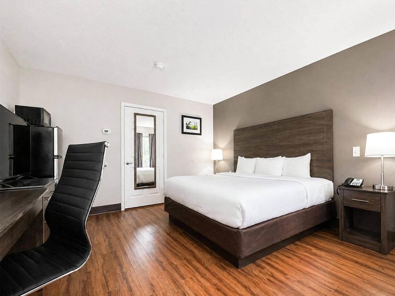 DOUBLE KING BED NON SMOKING — photo 6