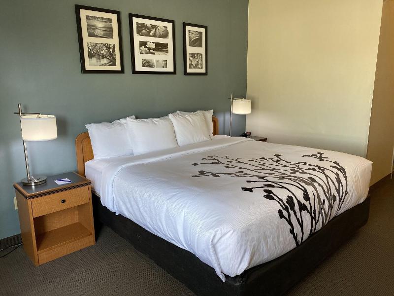 Sleep Inn & Suites Davenport Area image