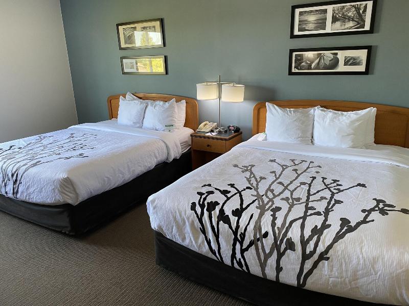 Sleep Inn & Suites Davenport Area image